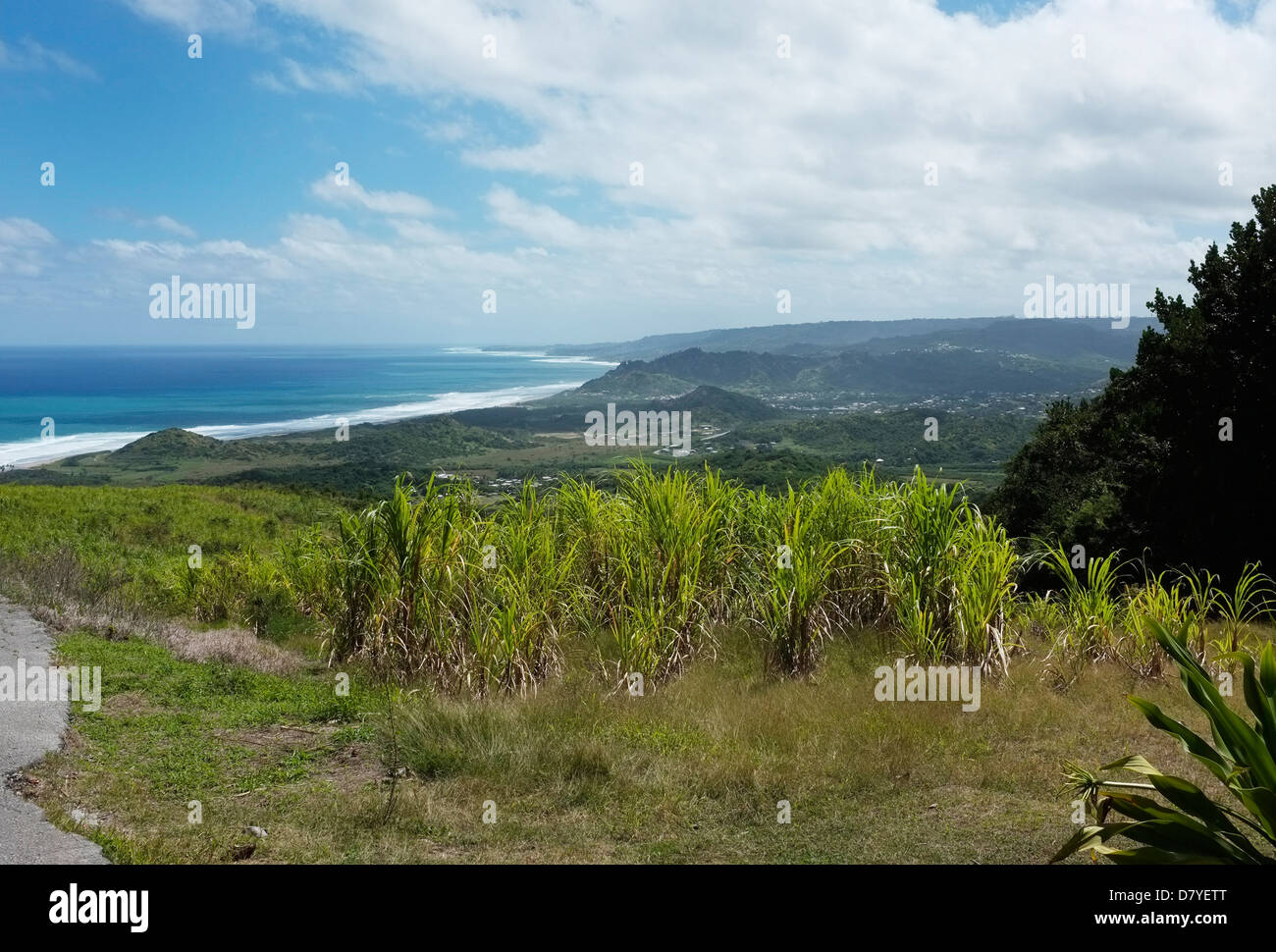 The West Coast of Barbados Stock Photo Alamy