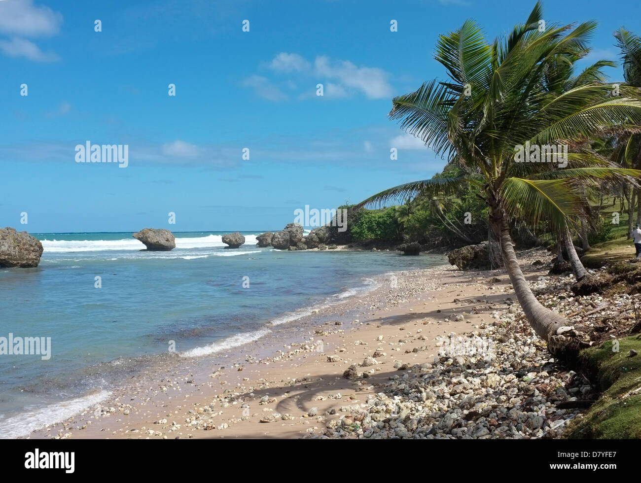 Shingle beaches on the East Coast of Barbados at Soup Bowl Bay