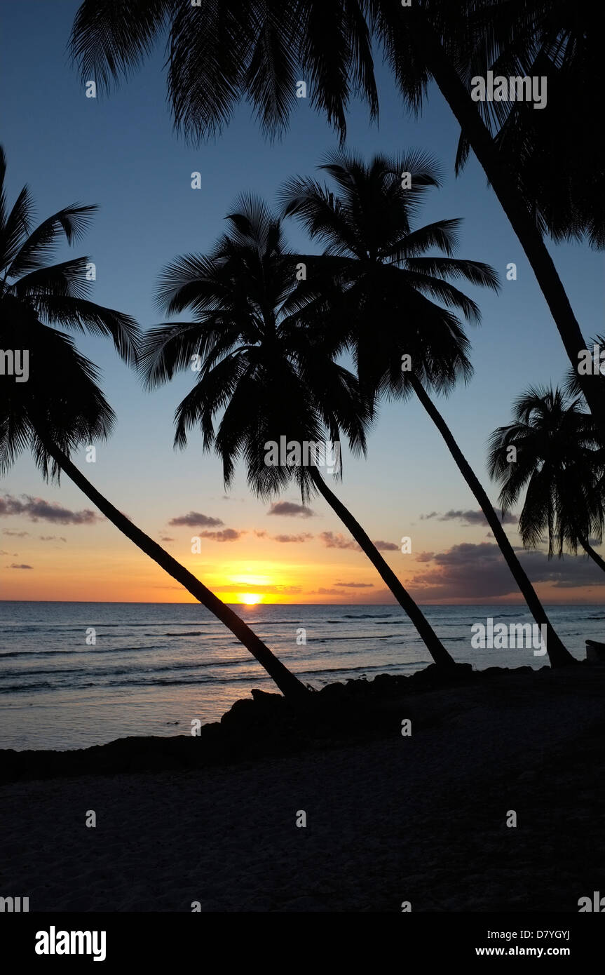 Sunset on the South Coast in Barbados Stock Photo - Alamy