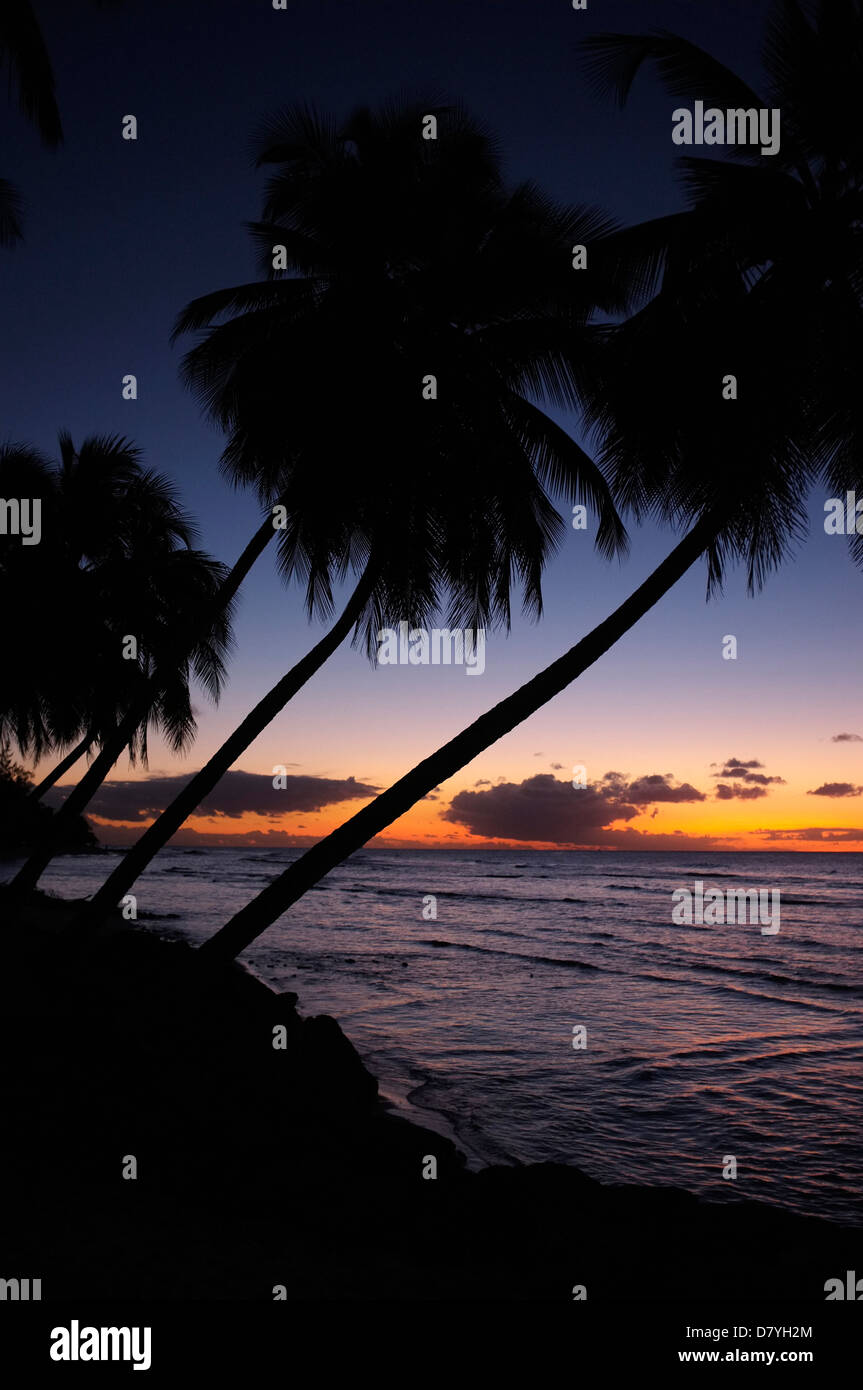Sunset on the South Coast in Barbados Stock Photo - Alamy