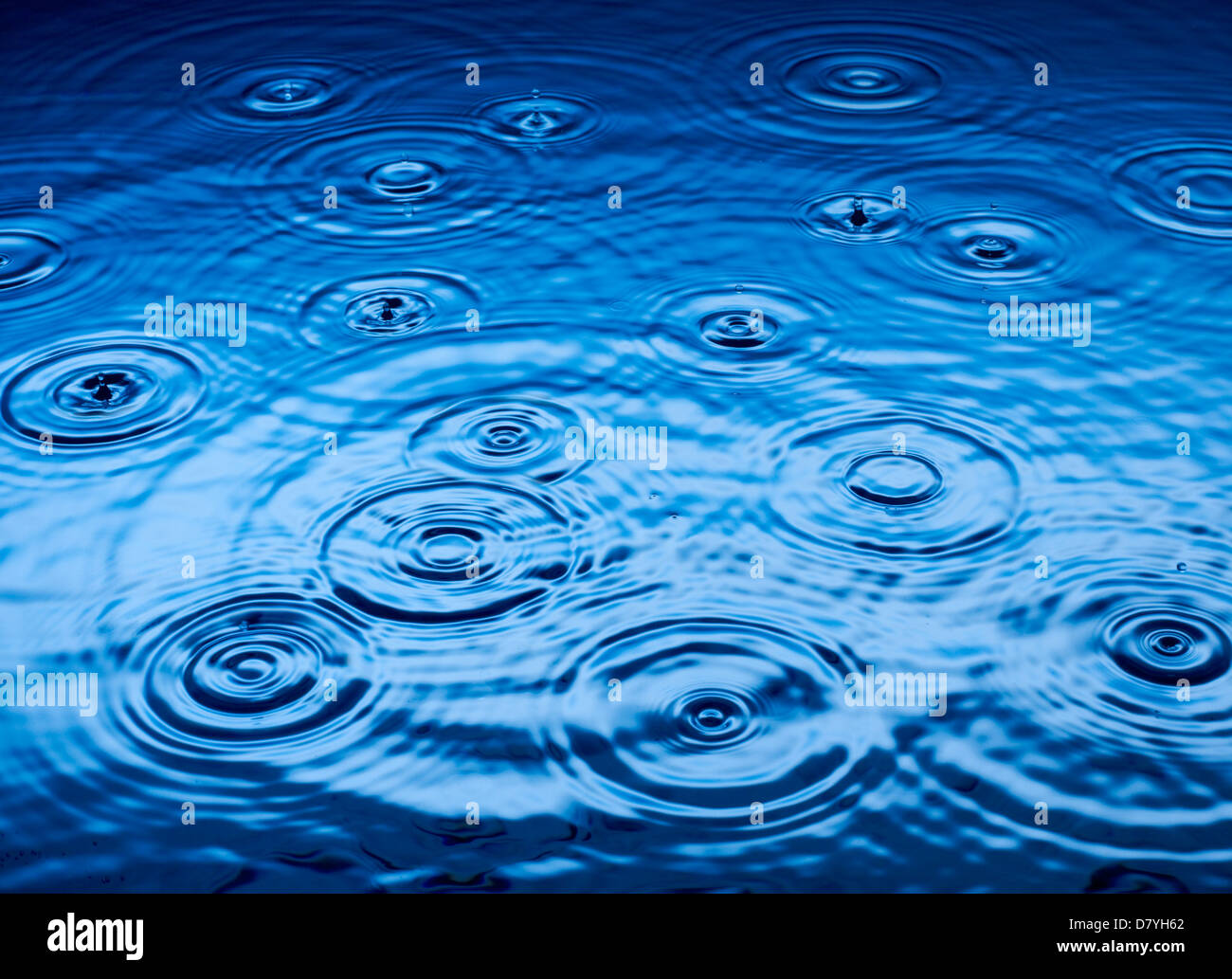 Ripples of raindrops in puddle Stock Photo
