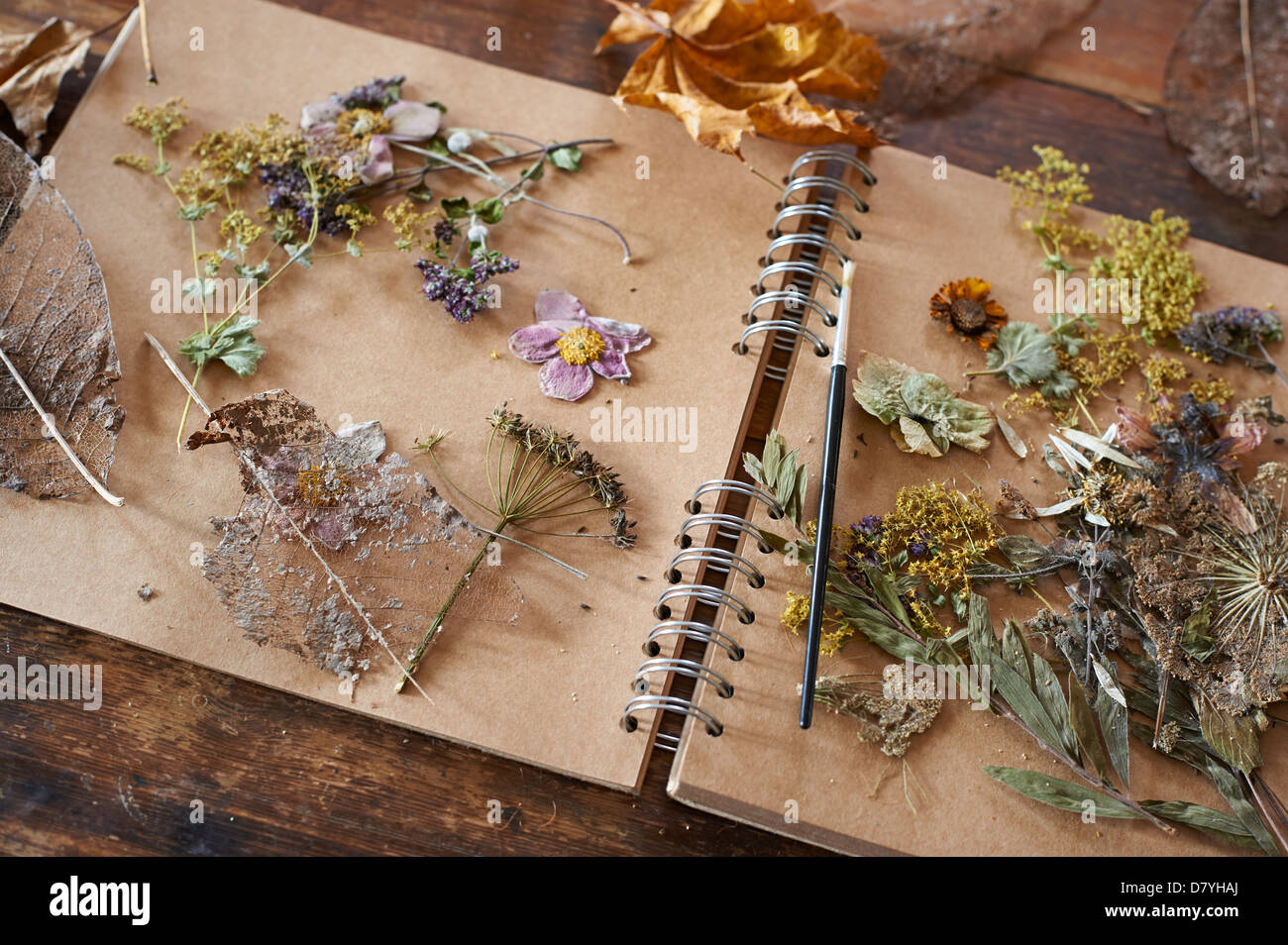 Dried flowers and herbs on notebook Stock Photo Alamy
