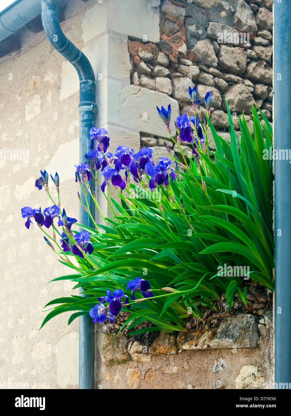 High wall hi-res stock photography and images - Alamy