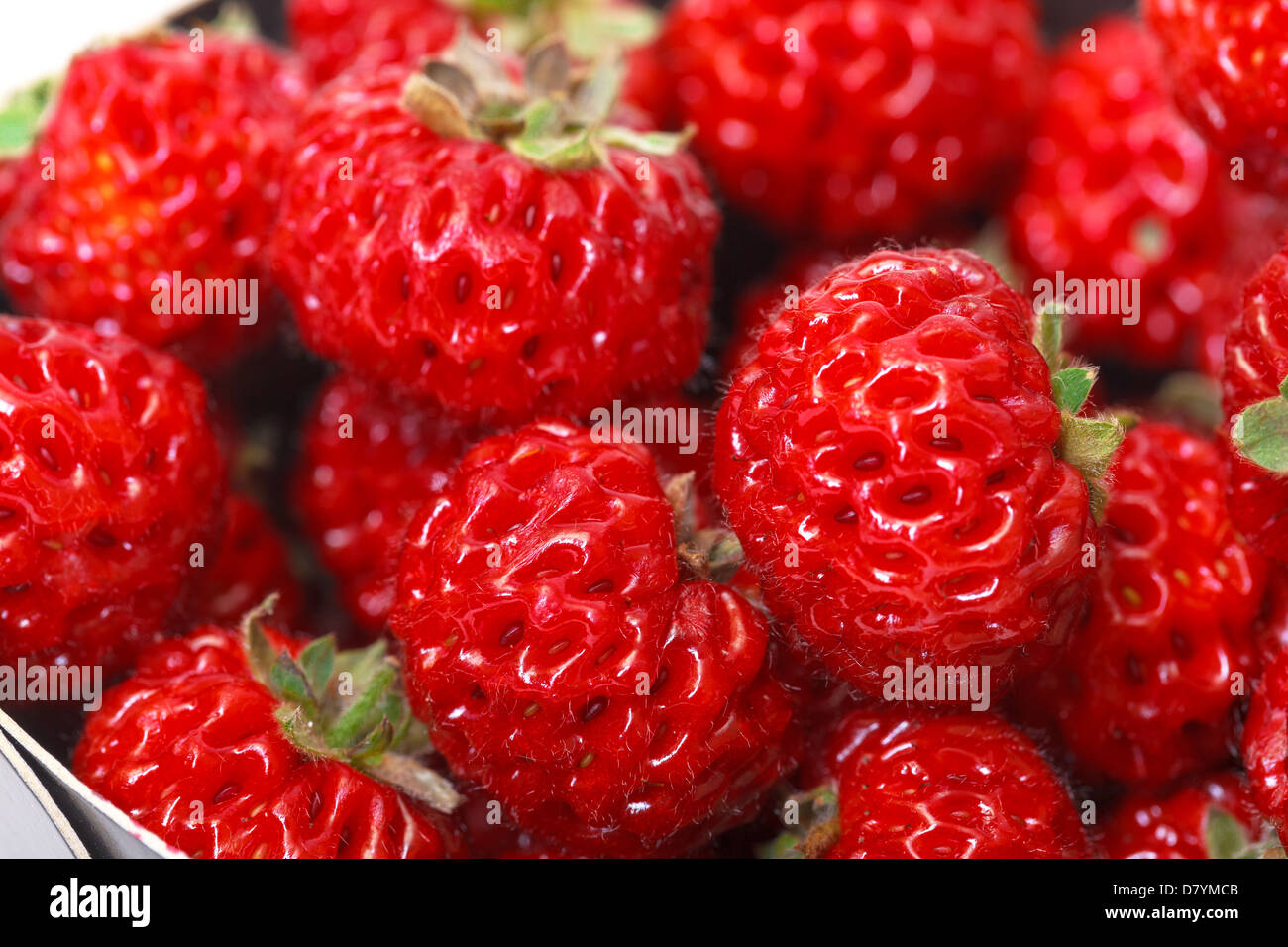Ripe Red strawberries closeup Stock Photo