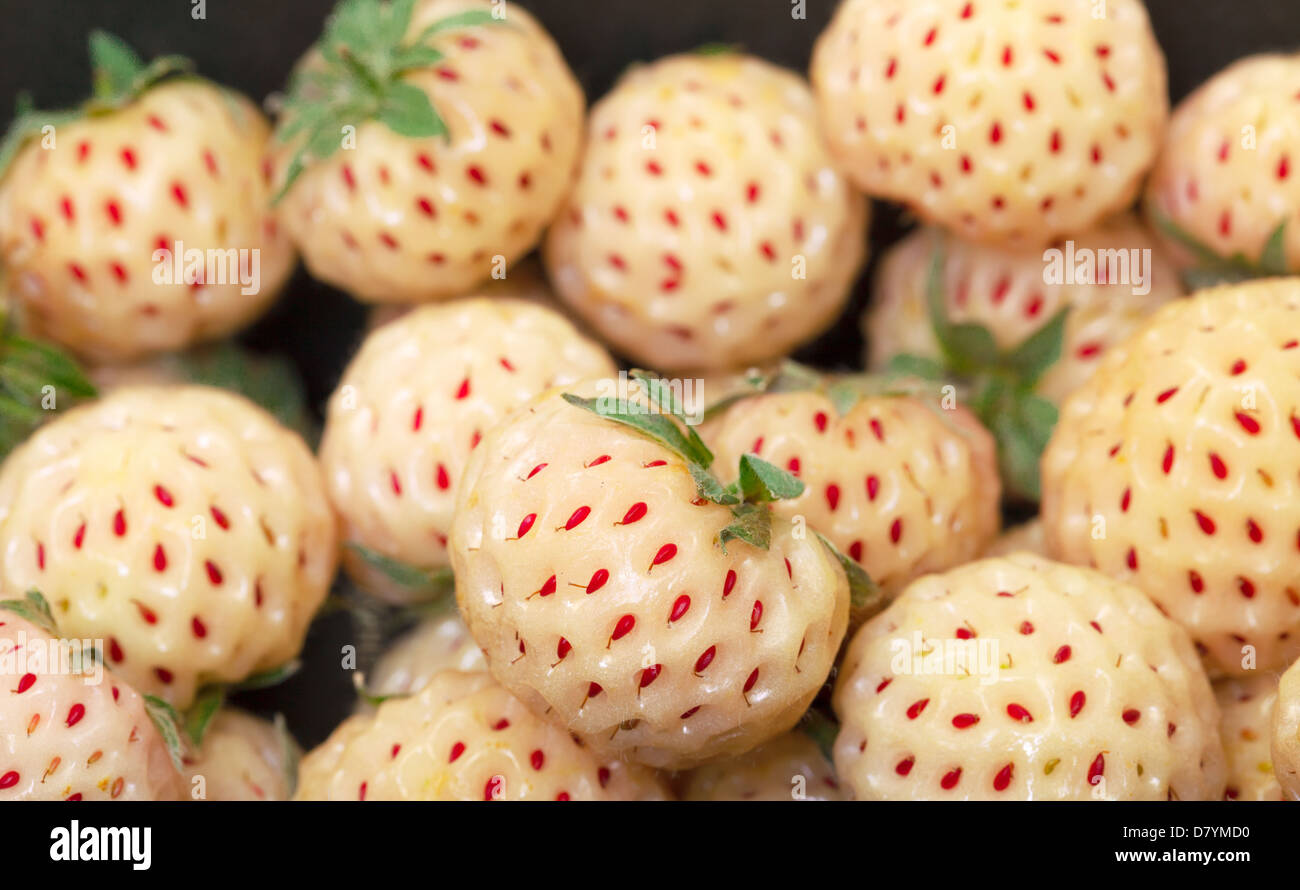Pineberry Ripe Albino strawberries hi-res stock photography and images - Alamy
