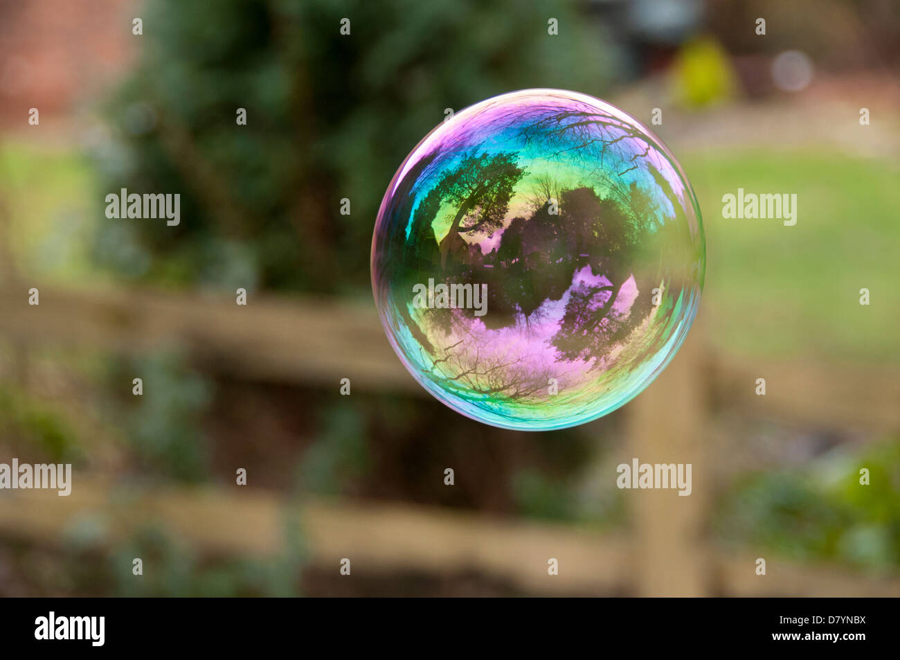Close-up of beautiful spherical soap bubble floating in air with trees reflecting on its thin, colourful, iridescent surface - Yorkshire, England, UK. Stock Photo