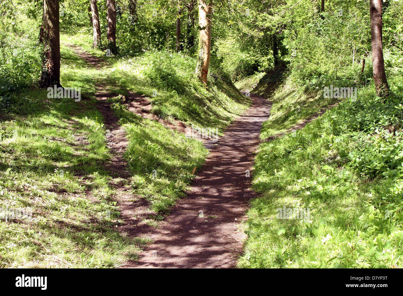 Rural path hi-res stock photography and images - Alamy