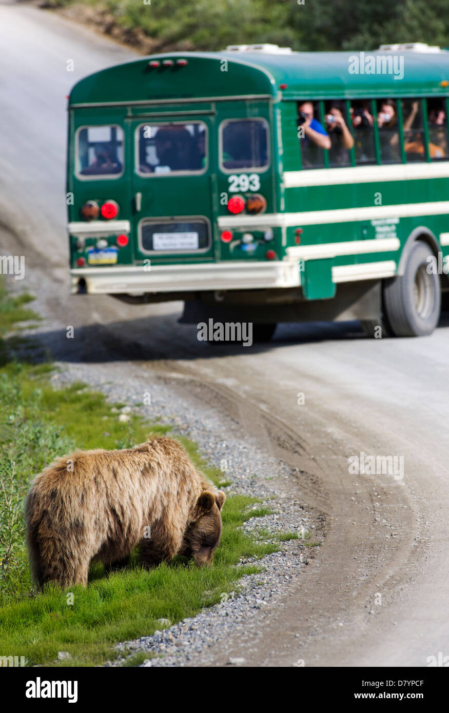 Into the wild bus hi-res stock photography and images - Alamy