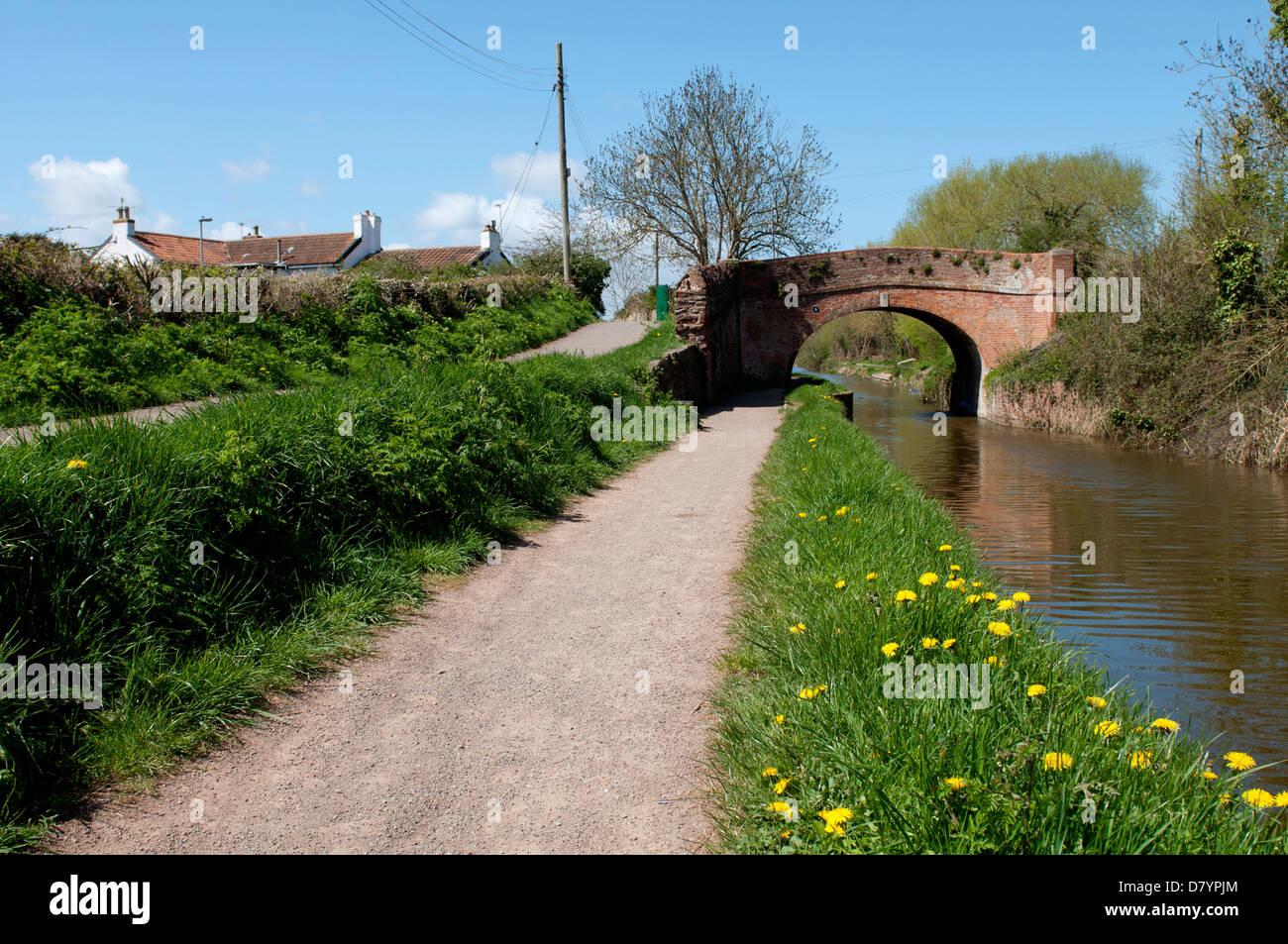 Bridgwater and Taunton Canal near Bridgwater, Somerset, England, UK