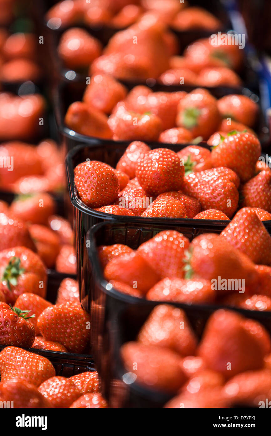 Punnet's of ripe red strawberries on a market stall. Stock Photo