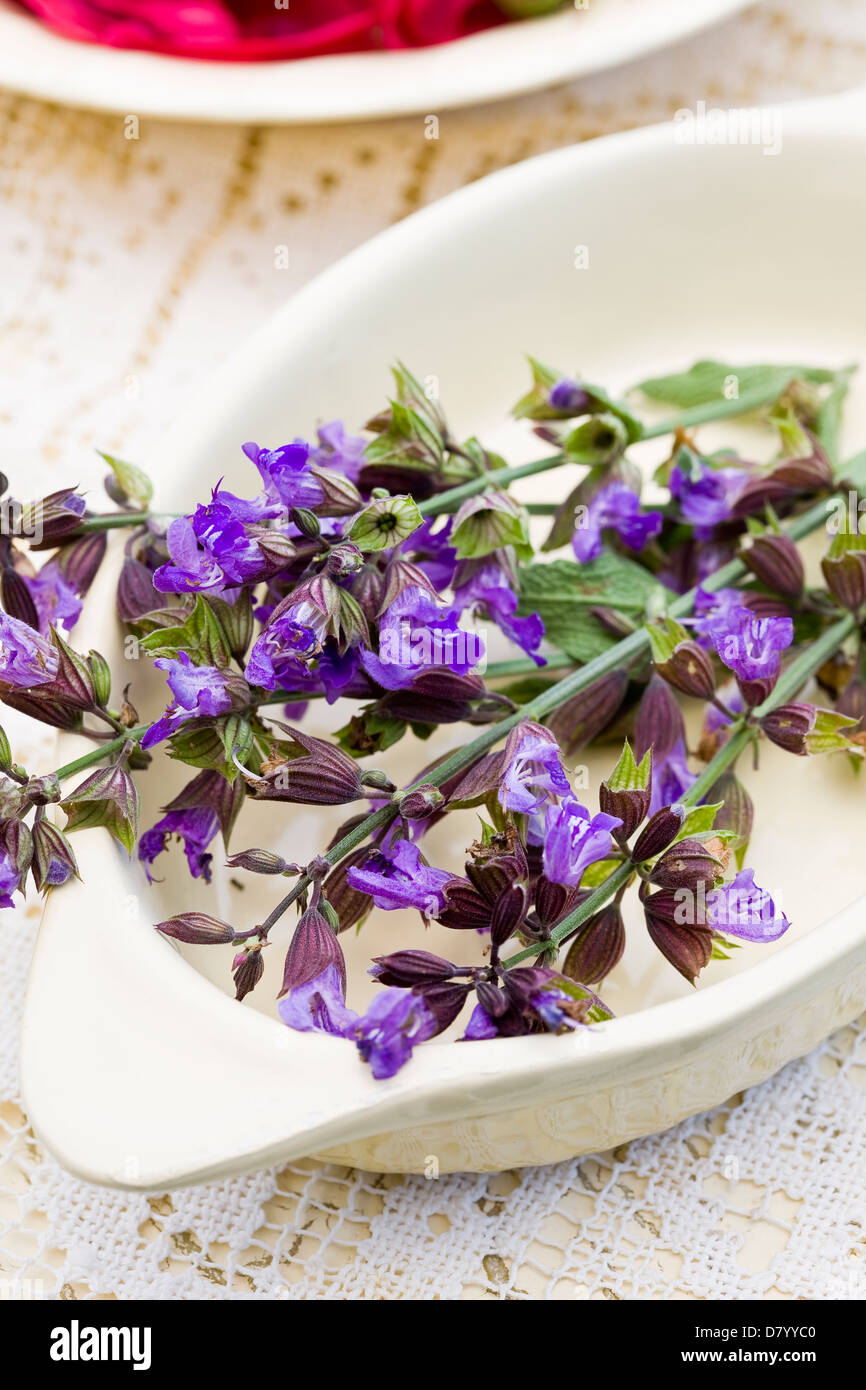 A white dish with purple edible sage flowers in it. Stock Photo