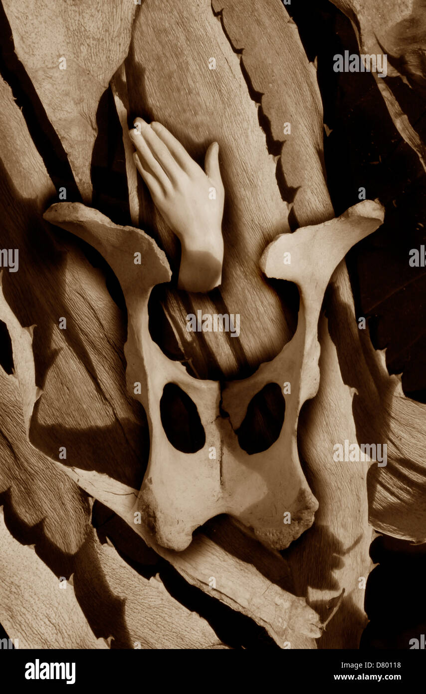 Striking sepia still life with outstretched hand rising above a bone ...