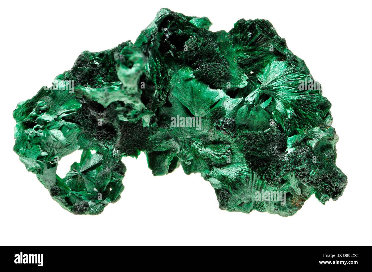 Malachite [green copper carbonate hydroxide] Fibrous chatoyant form giving cat's eye effect Stock Photo