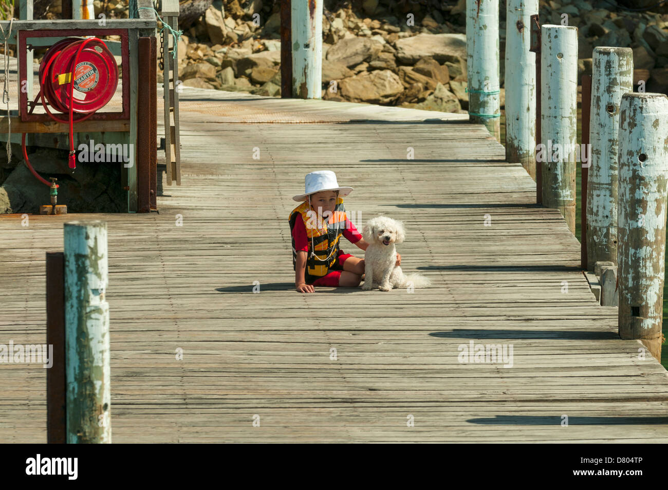 A Boy and His Dog at Resolution Bay, Queen Charlotte Sound, Marlborough , New Zealand Stock Photo