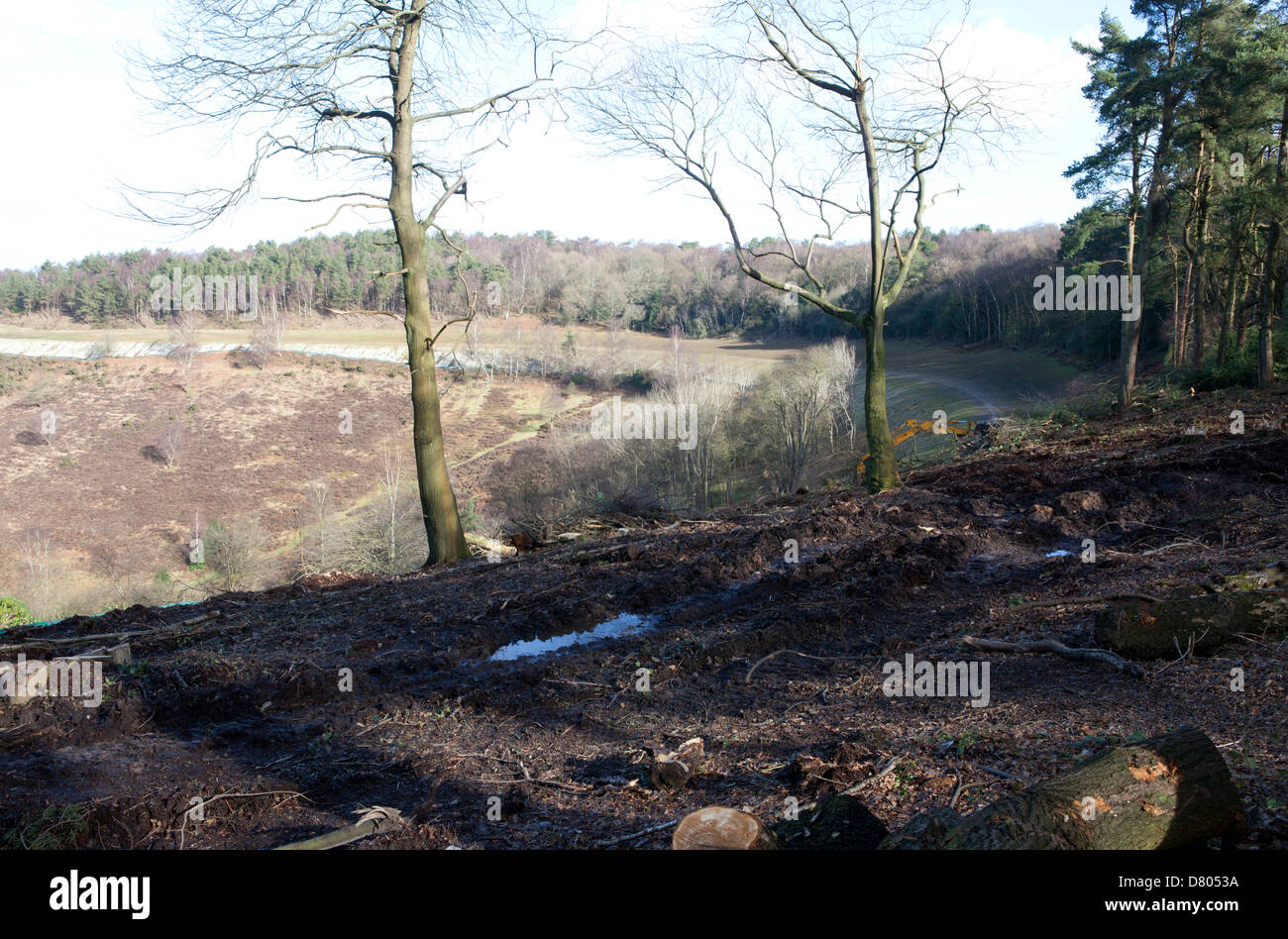 Old A3 Hindhead, Devil's Punchbowl, shrub clearance Stock Photo