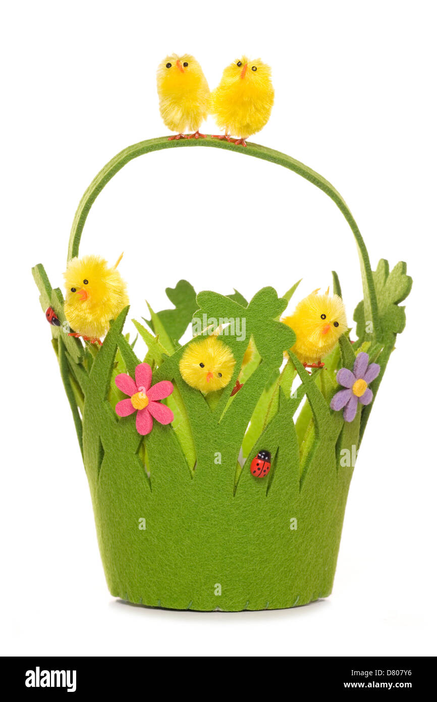 Spring easter chick basket studio cutout Stock Photo