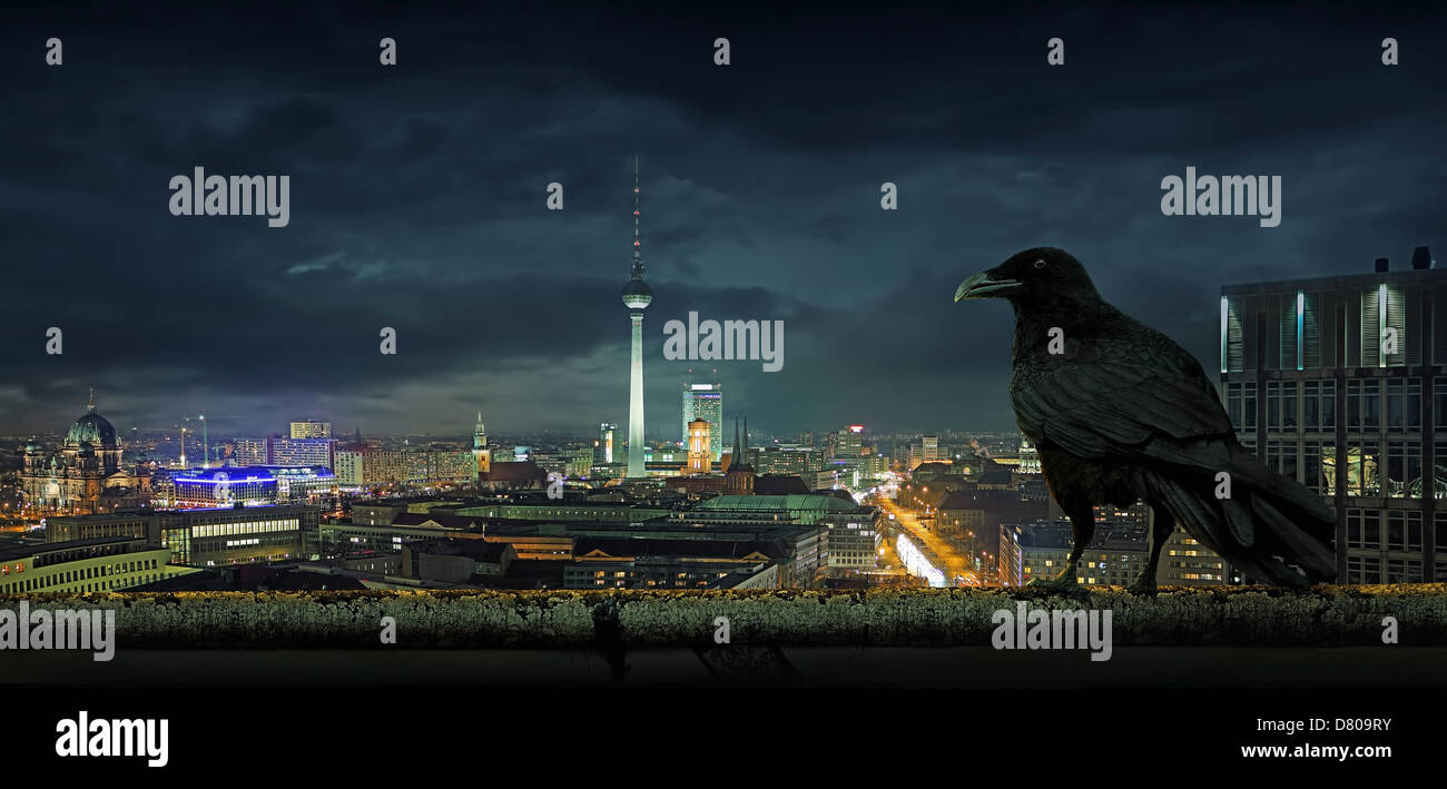 Crow overlooking cityscape, Berlin, Berlin, Germany Stock Photo