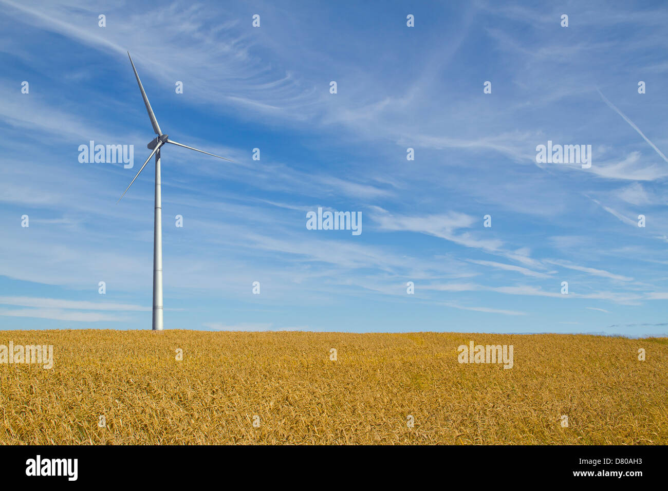 Wind turbine in rural landscape Stock Photo