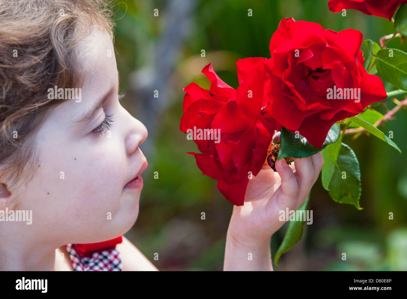 Розочкой ребенка. Девочка нюхает розу. Ребенок нюхает цветок. Дети розы. Девочка нюхает цветок.