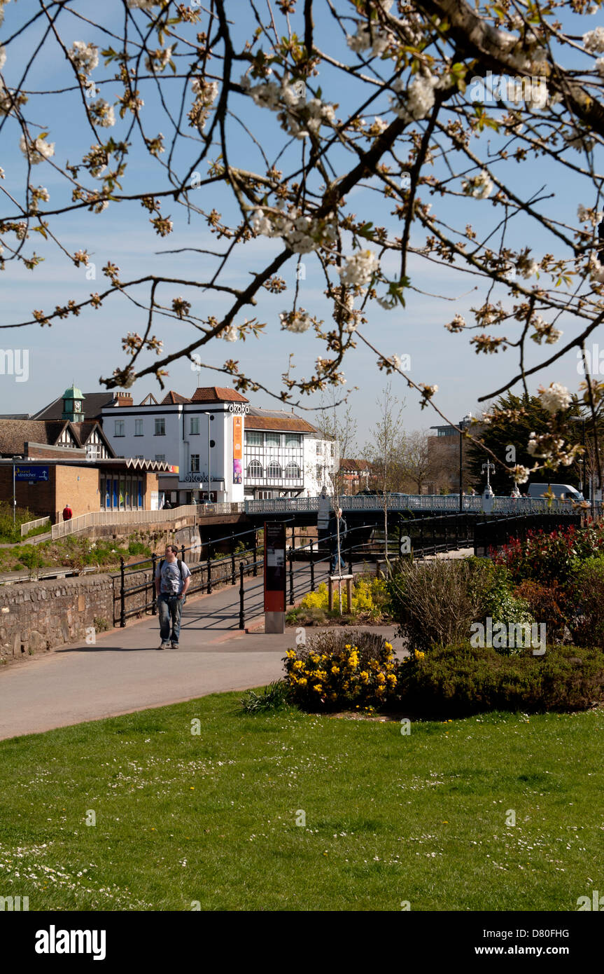 Goodland Gardens, Taunton, Somerset, England, UK Stock Photo Alamy
