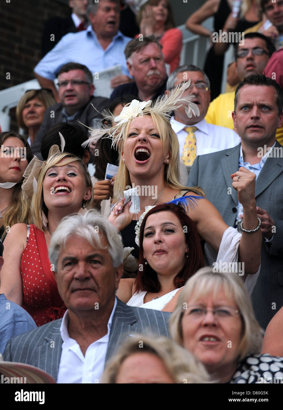 Crowds cheering on the horses at Brighton Races UK Stock Photo