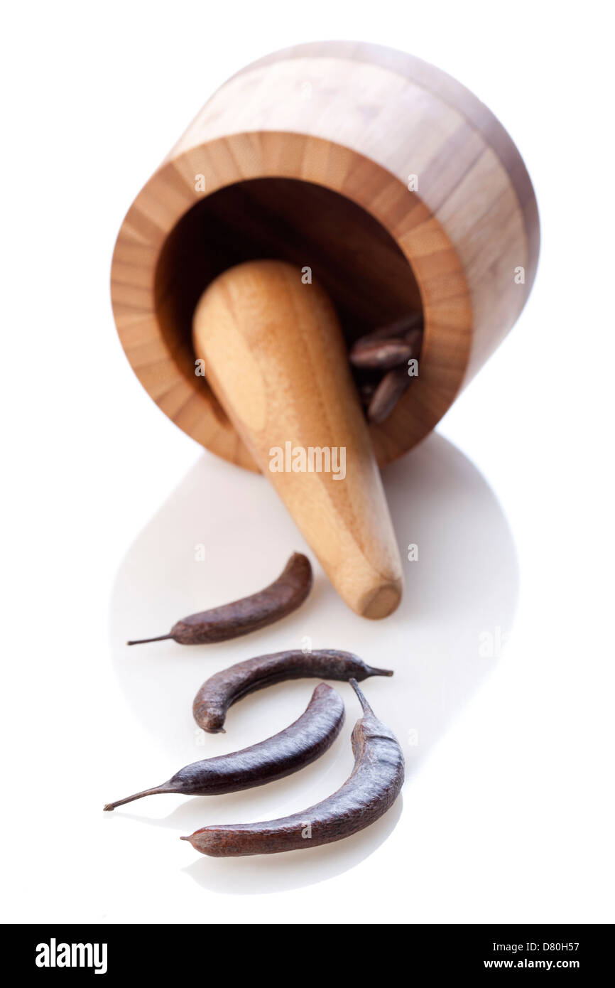 Chinese medicinal herb Chinese honey locust and mortargrinder Stock Photo Alamy