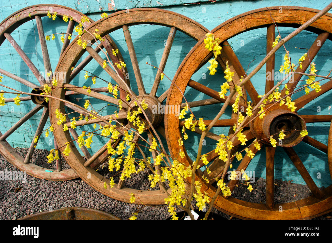 Cartwheels in an antique shop, Shropshire, England Stock Photo Alamy