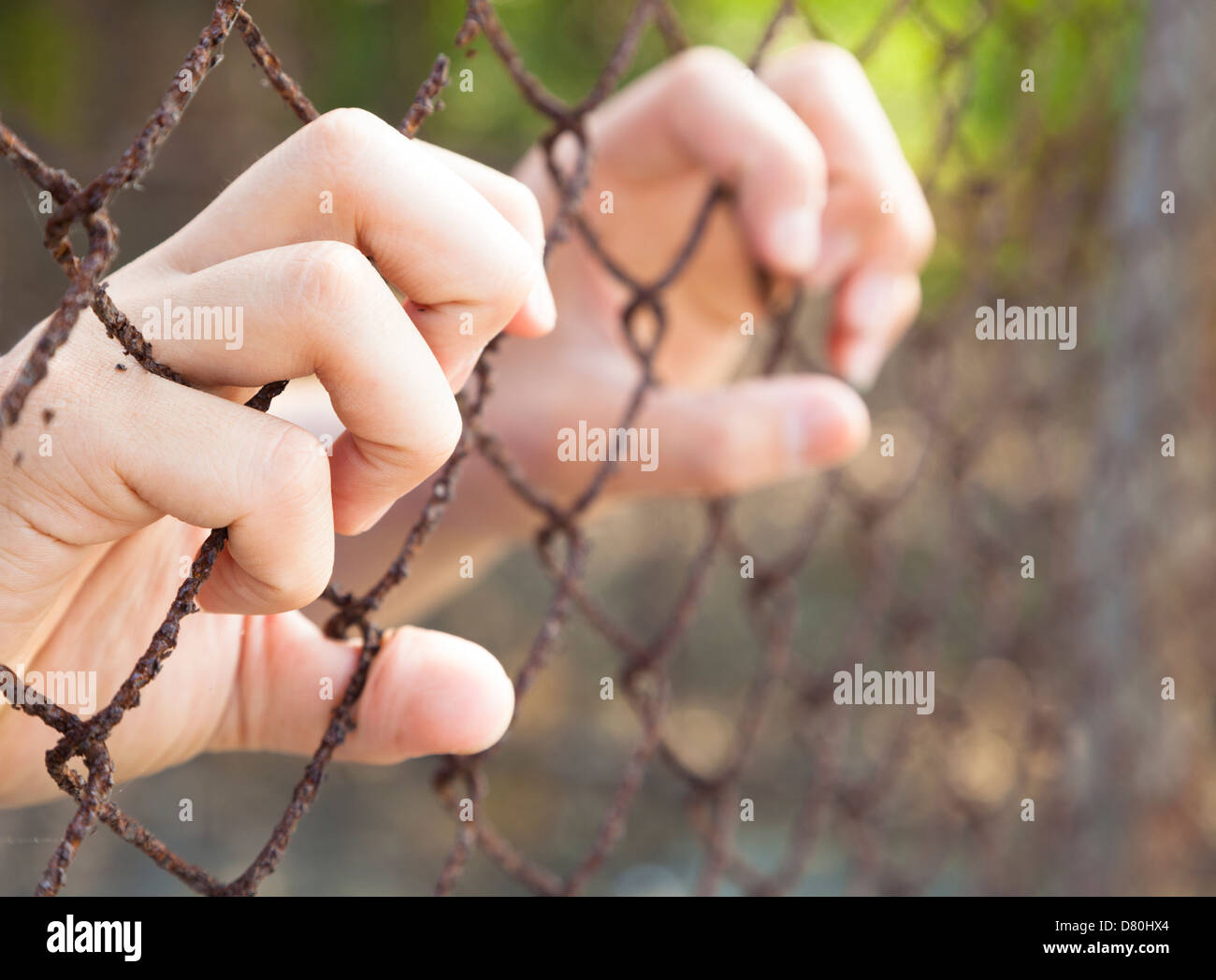 hand of prison in jail Stock Photo