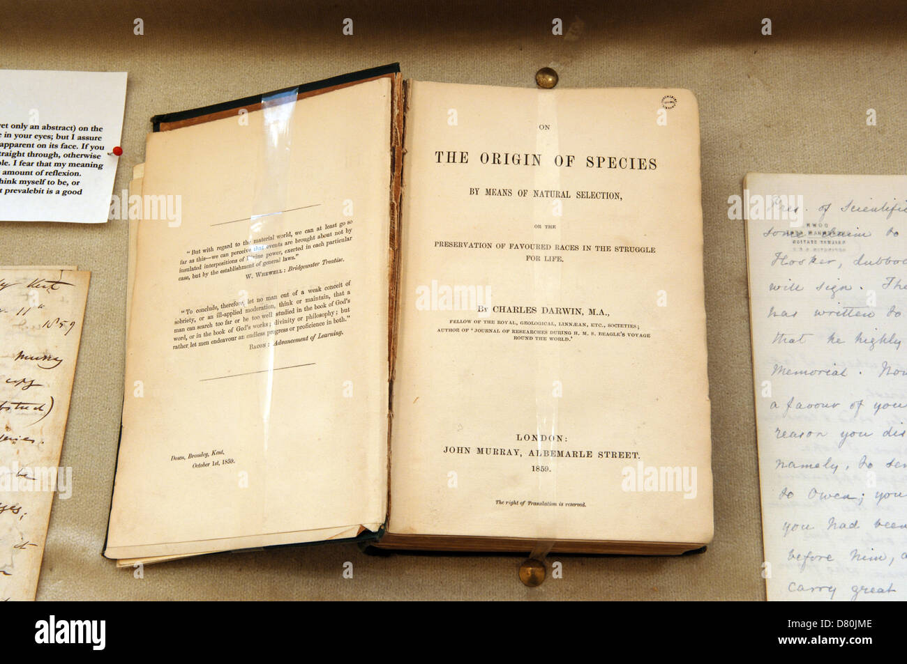 First edition (1859) of 'On The Origin Of Species' by Charles Darwin in Shrewsbury School library. Darwin was a former pupil. Stock Photo