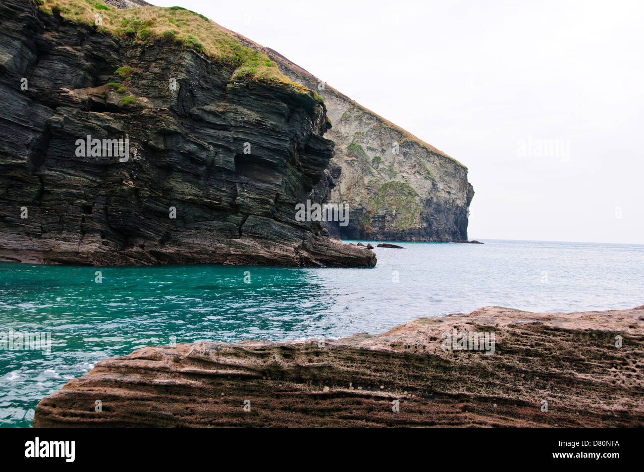 Limpets and mussels clinging in clusters to the rocks trebarwith strand