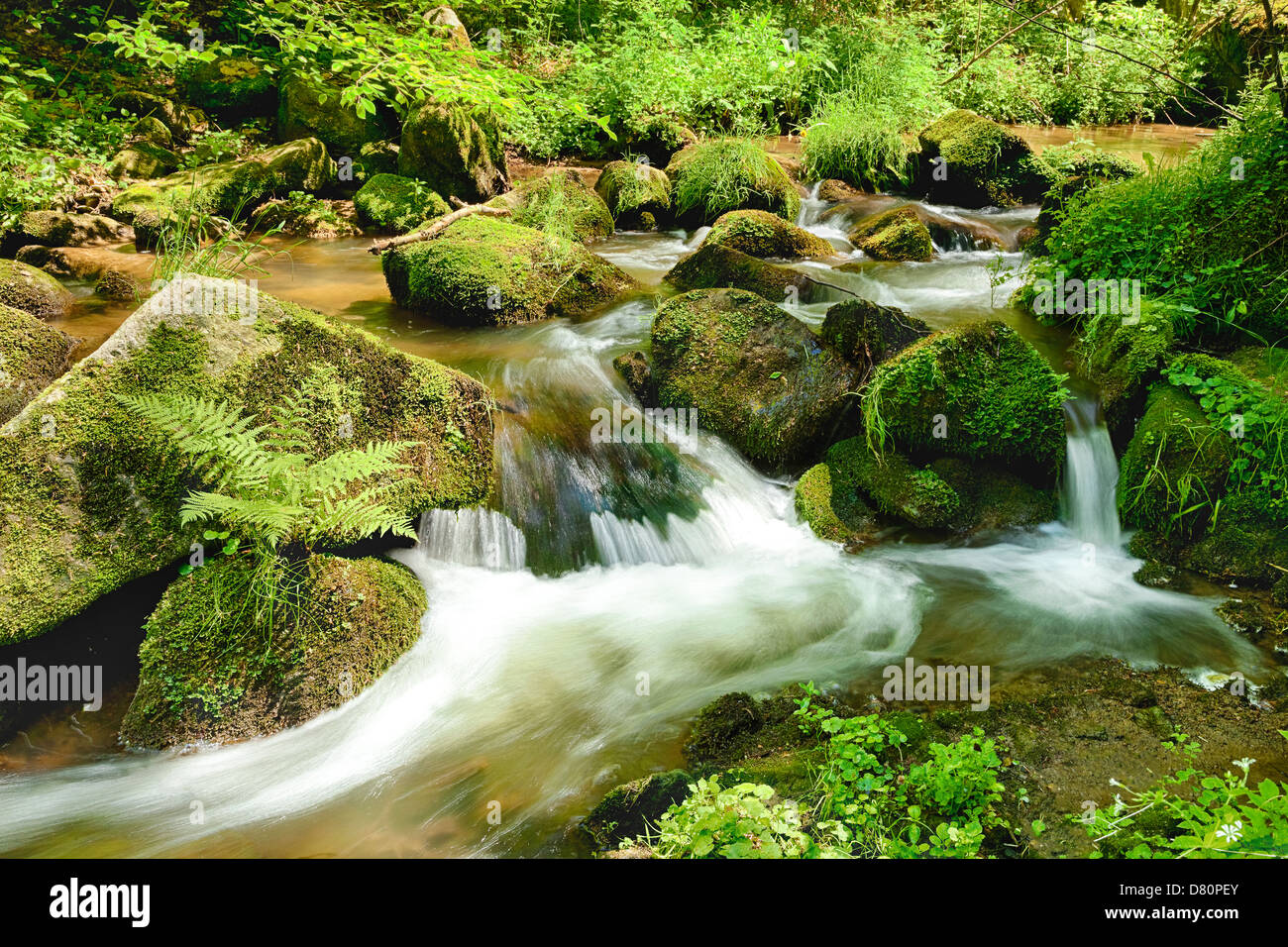 The river runs over boulders in the primeval forest - HDR Stock Photo