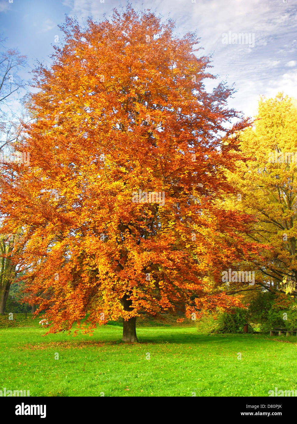 Colors in nature hi-res stock photography and images - Alamy