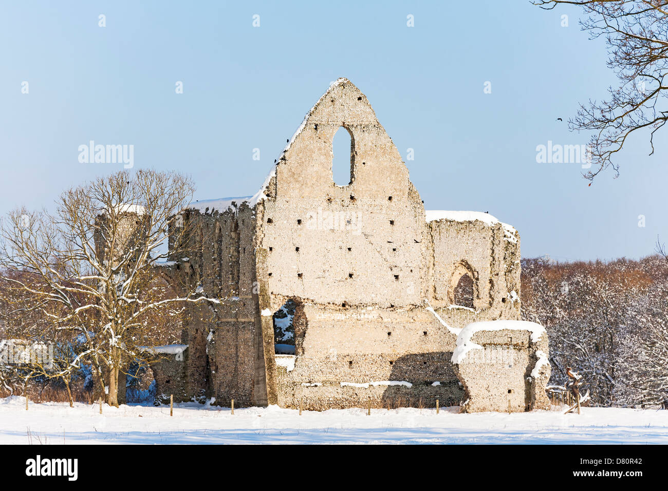 Newark Priory ruins of a monastery dissolved by Henry VIII under