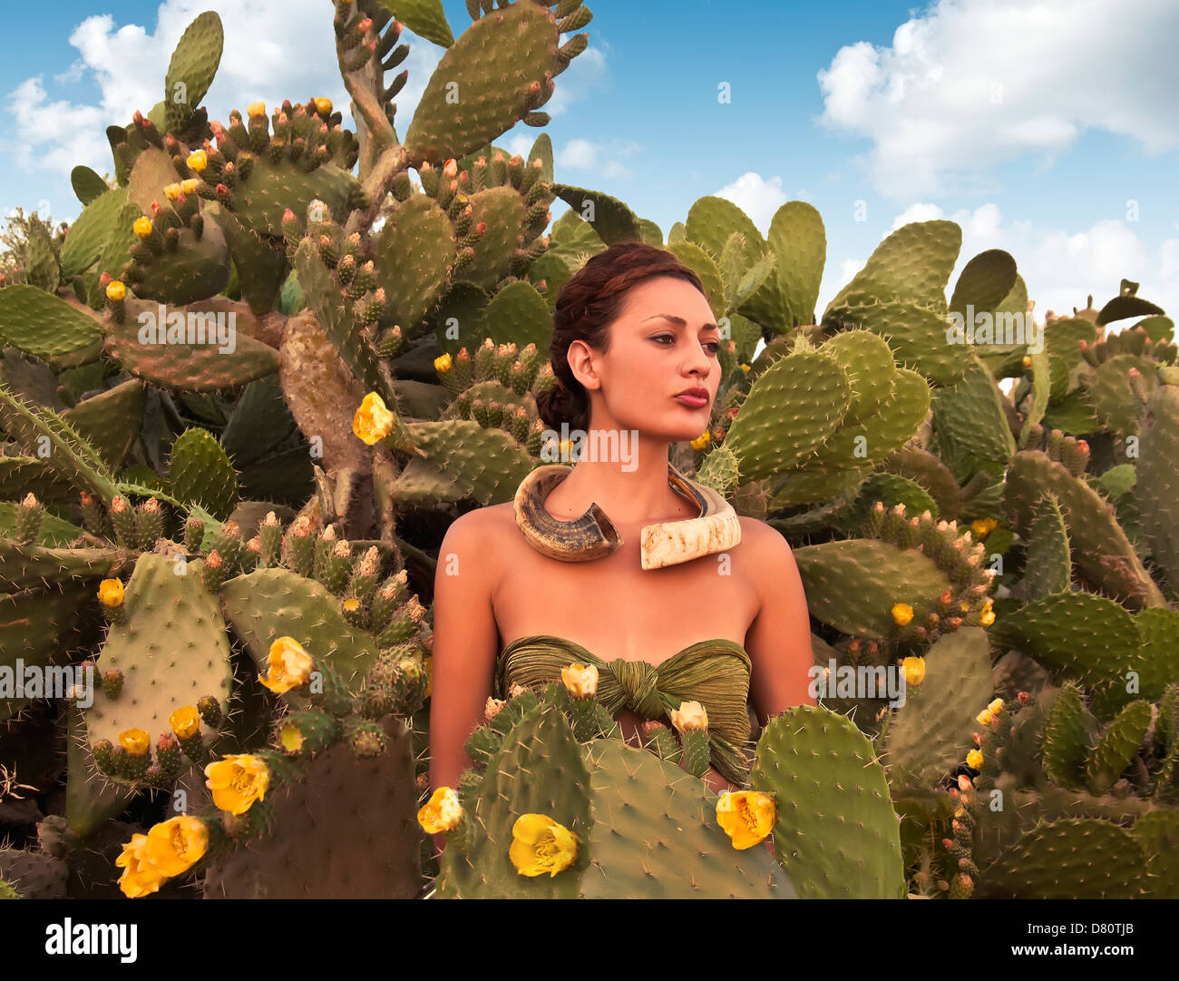 woman in Cactus field Stock Photo - Alamy