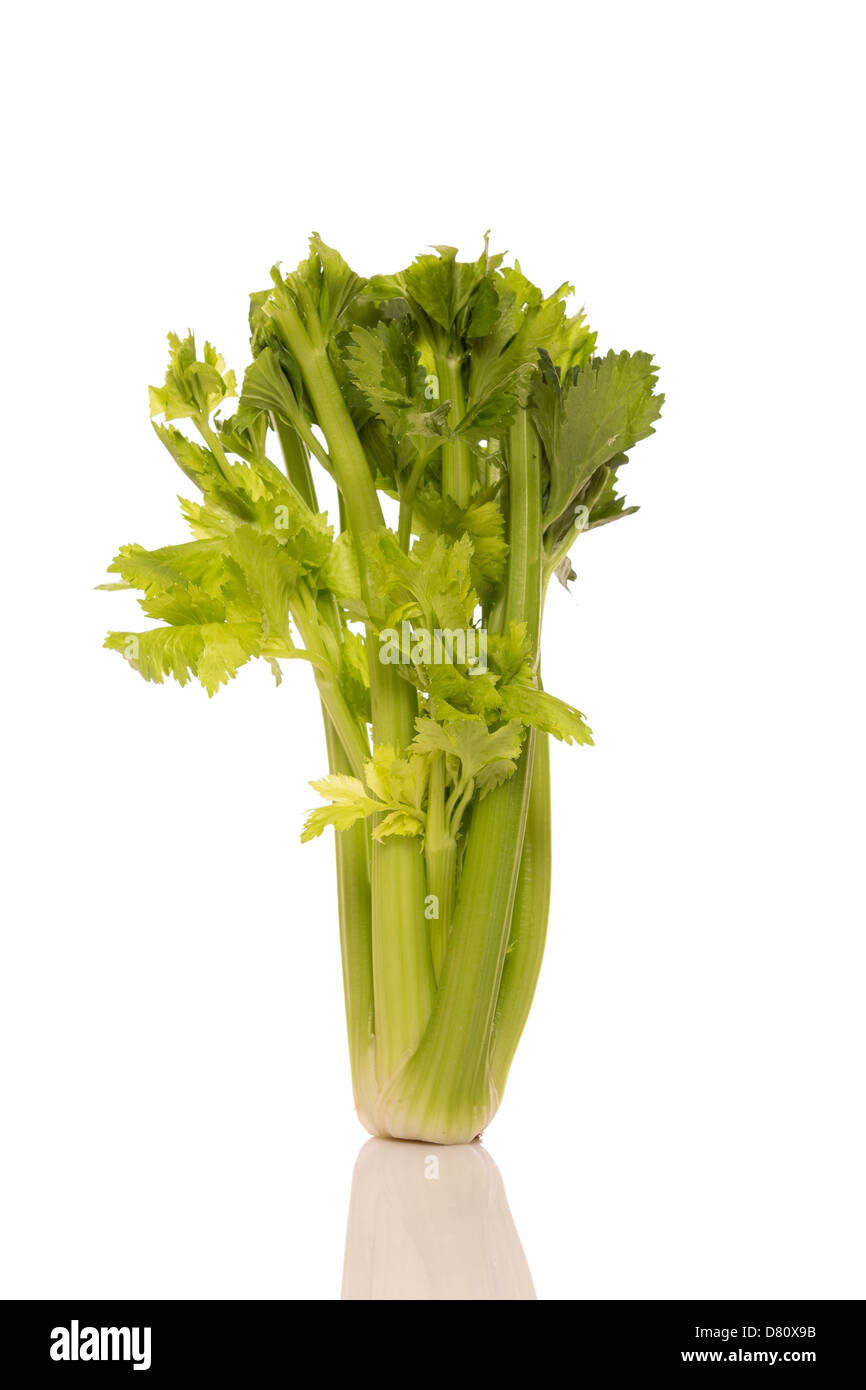 Fresh celery bunch isolated on white background Stock Photo Alamy