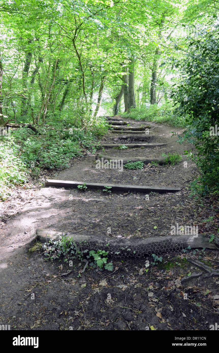 pilgrim path along steep steps to the … – License image – 70057520 ❘  lookphotos