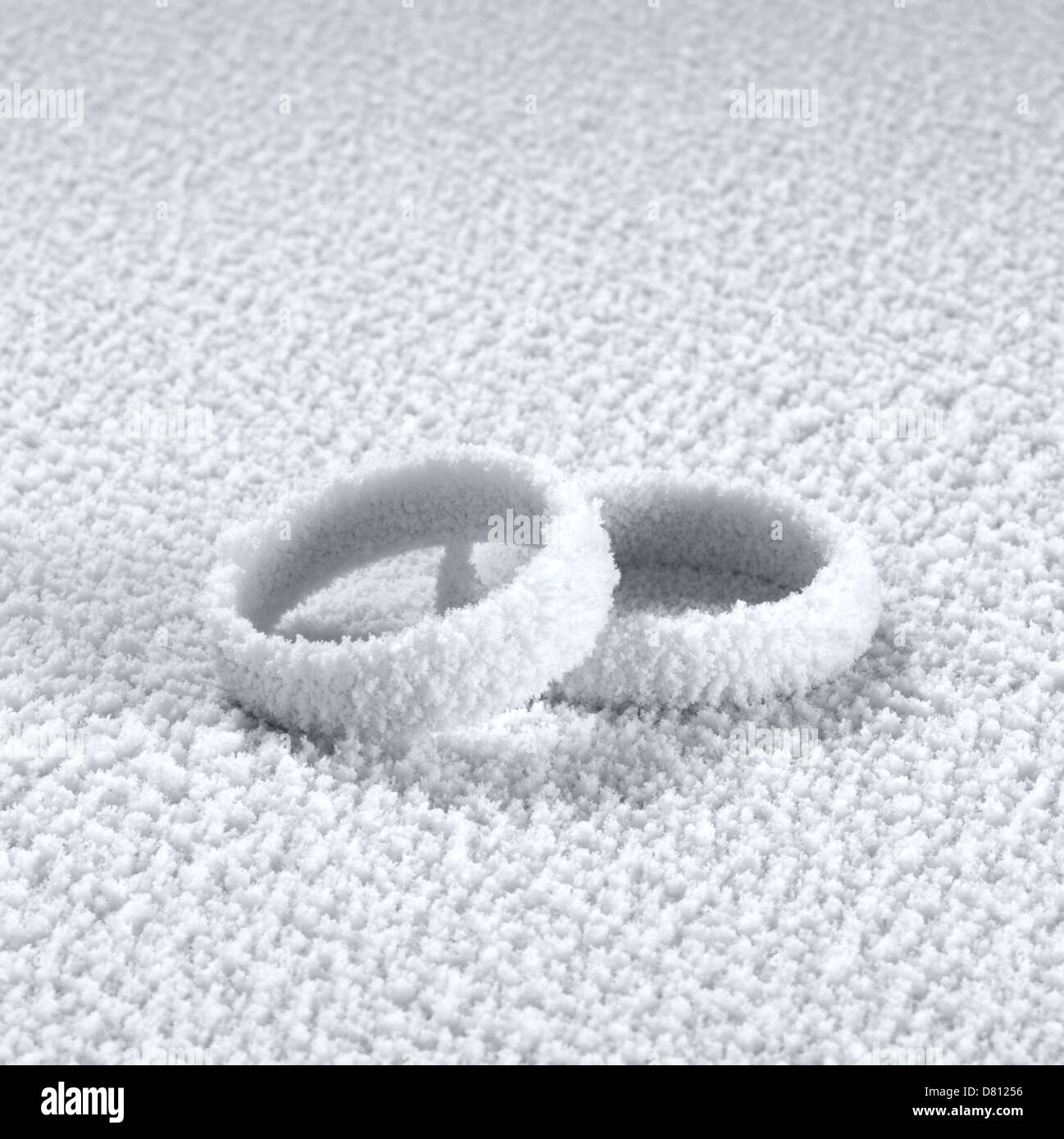 studio photography of two ice covered wedding rings in frosty back ...