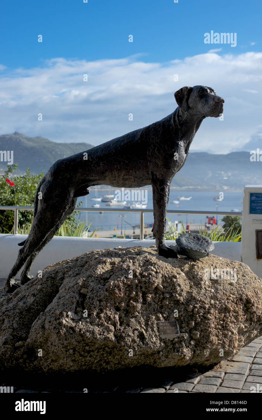 Statue of 'Just Nuisance' in Simonstown Jubilee Square Cape Town South