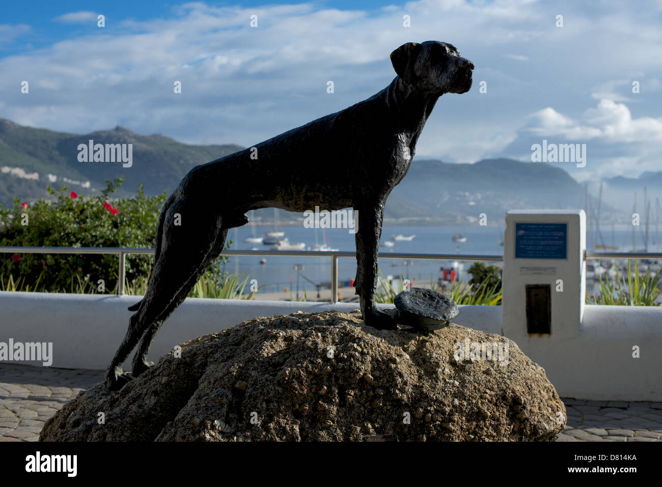Statue of 'Just Nuisance' in Simonstown Jubilee Square Cape Town South Africa Stock Photo