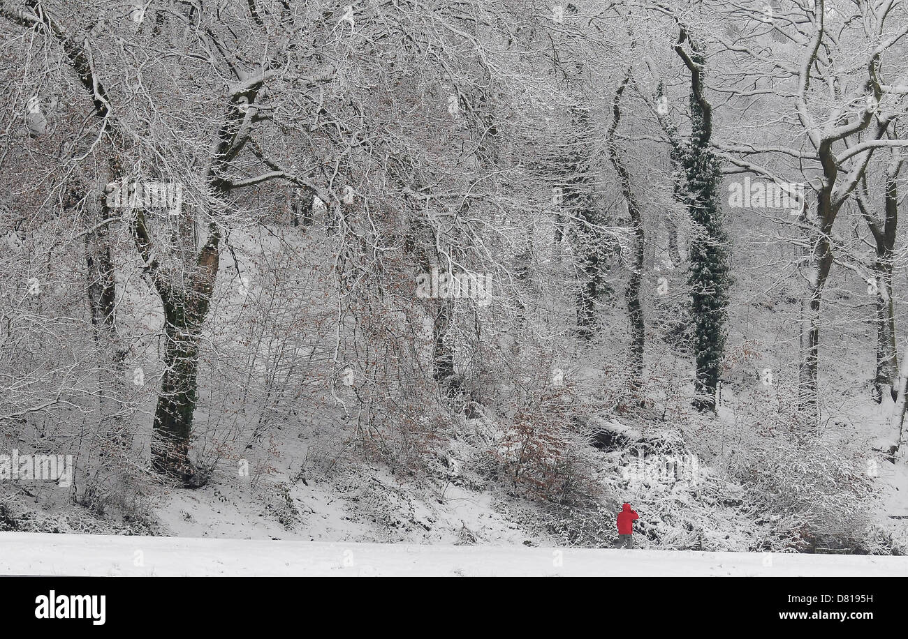 A man wearing a red coat walks through snow in Pontypridd. Stock Photo