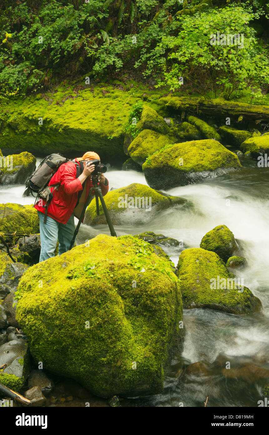 Photographer Steve Shuey, photographing Elowah Falls, Columbia River Gorge, Oregon, APRIL Stock Photo