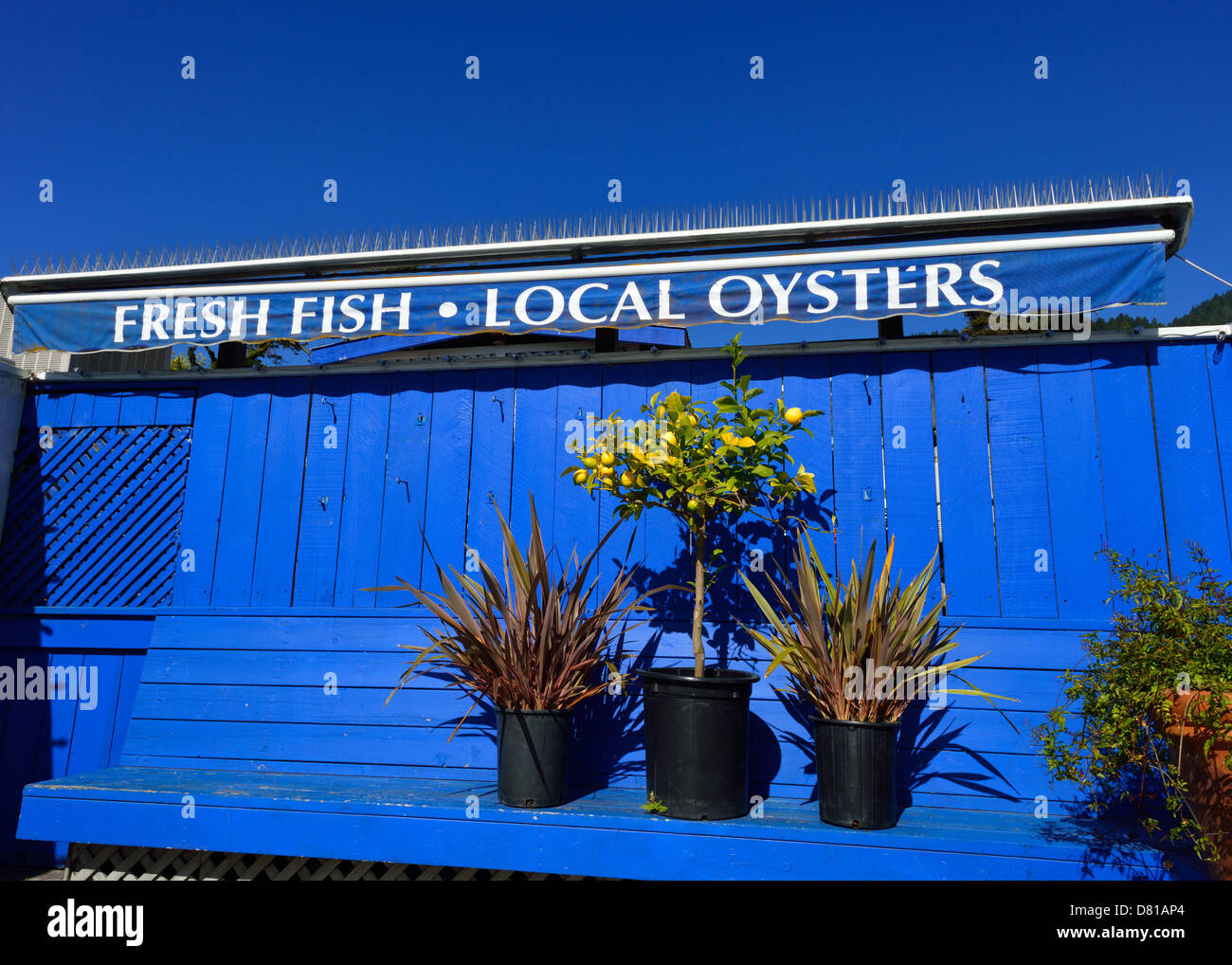 The Sand Dollar Restaurant in Stinson Beach, California CA Stock Photo