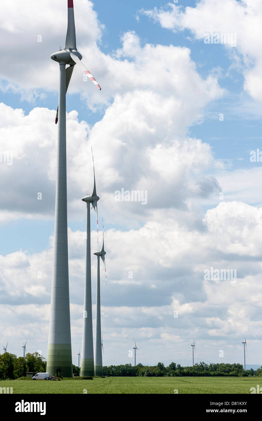 renewable energy source wind power on a field in Marchfeld, Lower