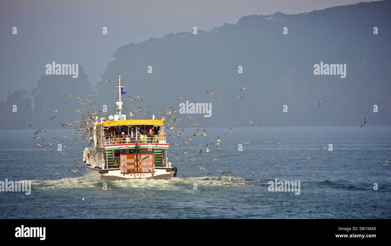 Tourist aboard Sightseeing Cruise around Jodogahama feeding a flock of flying seagulls out at sea Stock Photo