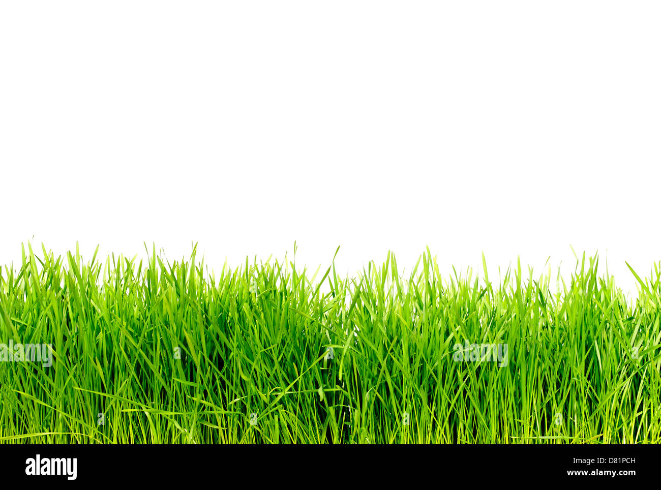 Grass cut out hires stock photography and images Alamy