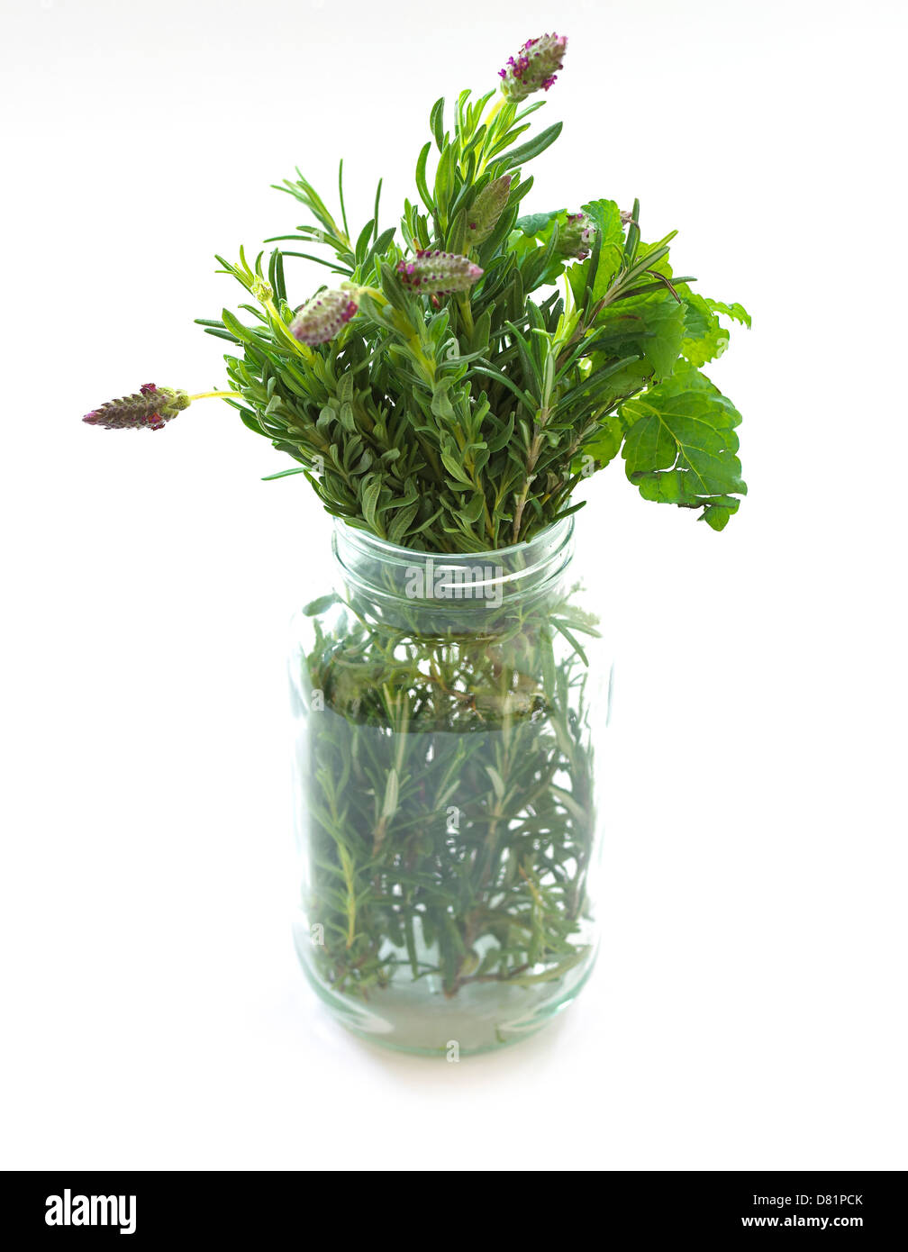 bunch of herbs ina  jar cut out onto a white background Stock Photo
