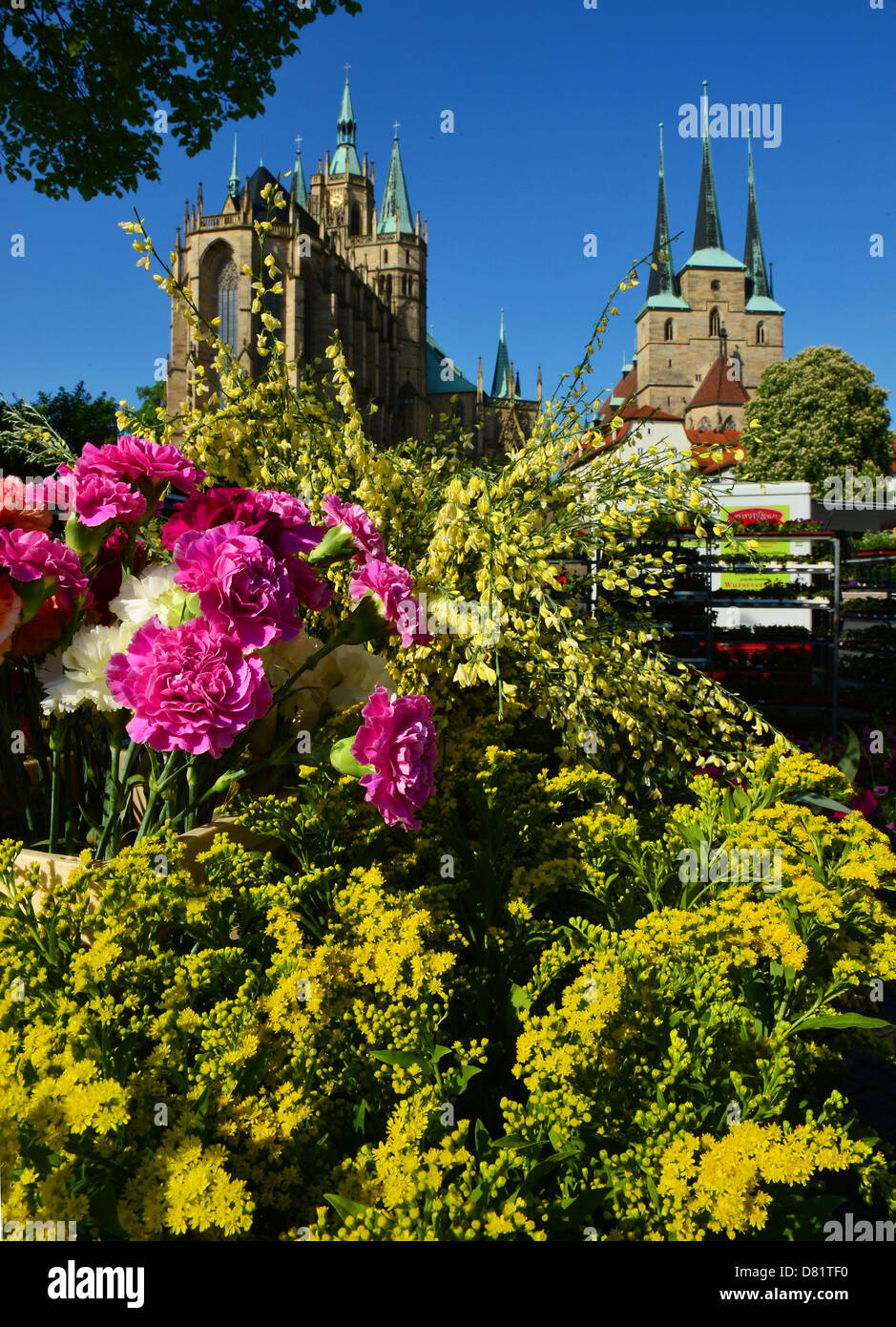 Flowers bloom at the stall of a market garden at Domplatz square in