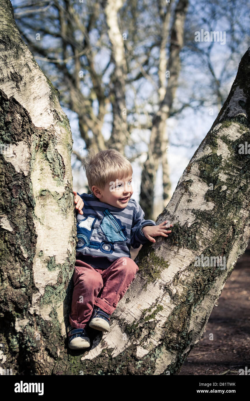 Smiling young boy climbing a tree Stock Photo