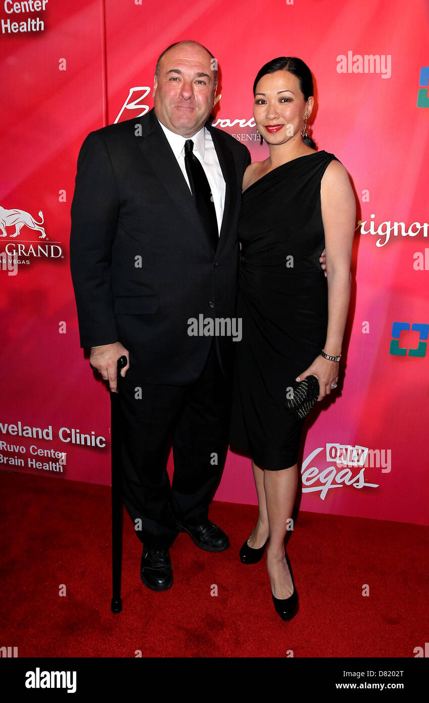 James Gandolfini and Deborah Lin 'Keep Memory Alive' Gala held at the