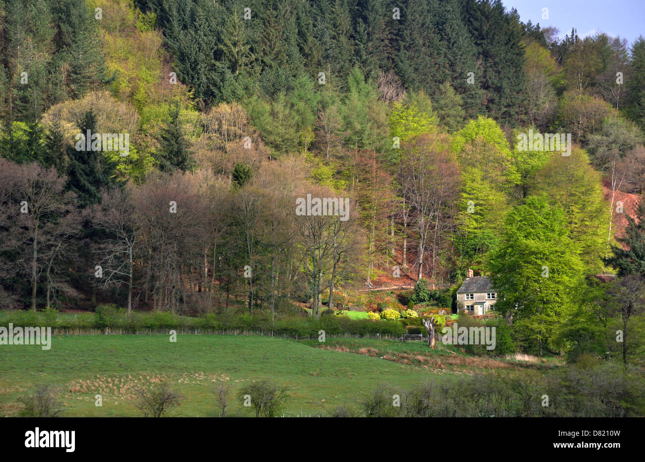 Cottage in the Upper Derwent Valley, Derbyshire, UK Stock Photo Alamy